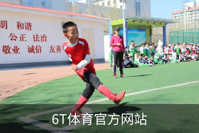 6T体育官方网站公司介绍图片